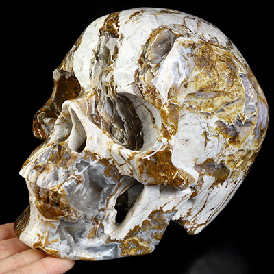 Lifesized 6.8" Tree Leaves Agate Hand Carved Crystal Skull, Super Realistic, Crystal Healing