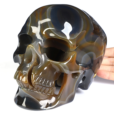 Lifesized 6.8" Premium Brazilian Agate Hand Carved Crystal Skull, Super Realistic, Crystal Healing