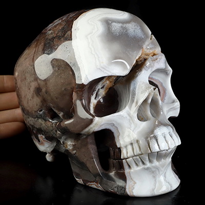 Lifesized 6.0" Red Crazy Lace Agate Hand Carved Crystal Skull, Super Realistic, Crystal Healing