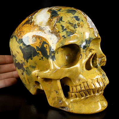 Lifesized 6.8" New Pietersite Hand Carved Crystal Skull, Super Realistic, Crystal Healing