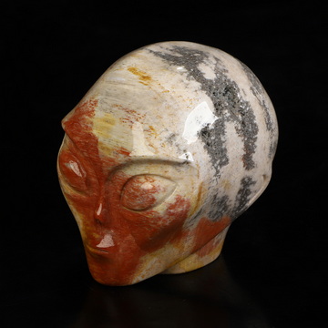 2.0" Petrified Wood Star Being Female Alien Crystal Skull Companion, Hand Carved Gemstone Fine Art Sculpture, Reiki Healing Stone Statue