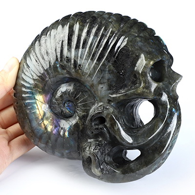 5.6" Labradorite Hand Carved Nautiloid Cthulhu Crystal Skull Sculpture, Crystal Healing