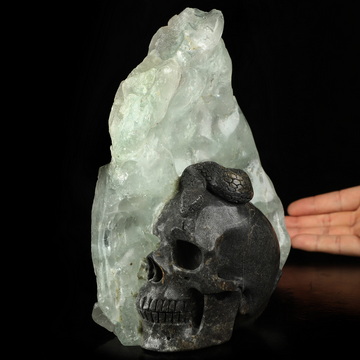 7.5" Fluorite Hand Carved Crystal Skull and Snake Fine Art Sculpture, Crystal Healing