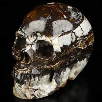 4.9" Tree Leaves Agate Hand Carved Crystal Skull, Realistic, Crystal Healing