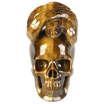 5.3" Gold Tiger's Eye Hand Carved Crystal Skull and Snake Sculpture, Crystal Healing