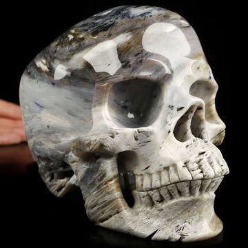 Lifesized 6.8" Sagenitic Agate Hand Carved Crystal Skull, Super Realistic, Crystal Healing