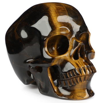 5.0" Gold Tiger's Eye Hand Carved Crystal Skull, Super Realistic, Crystal Healing