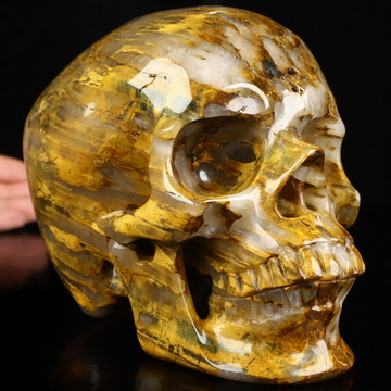 Lifesized 6.5" New Pietersite Hand Carved Crystal Skull, Super Realistic, Crystal Healing