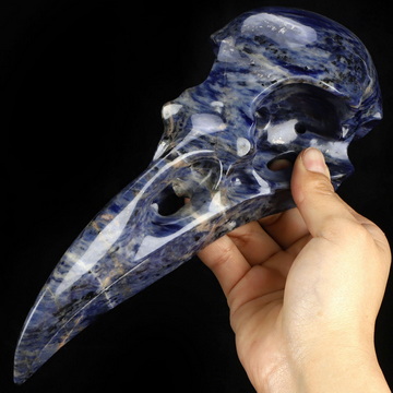 11.9" Sodalite Hand Carved Raven Crystal Skull Sculpture, Crystal Healing