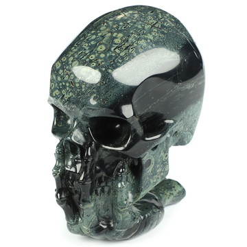 The Thinker---5.7" Kambaba Jasper Hand Carved Crystal Skull & Skeletal Hand Sculpture, Crystal Healing
