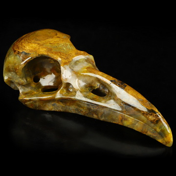 4.8" New Pietersite Hand Carved Raven Crystal Skull  Sculpture, Crystal Healing