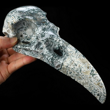 9.3" Tree Agate Hand Carved Raven Crystal Skull Sculpture, Crystal Healing