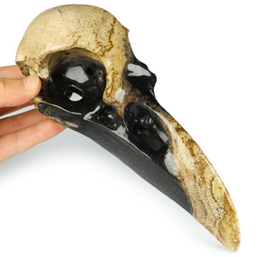 8.9" Black Zebra Agate Hand Carved Raven Crystal Skull Sculpture, Crystal Healing