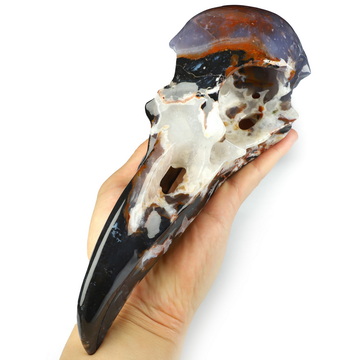9.0" Black Zebra Agate Hand Carved Raven Crystal Skull Sculpture, Crystal Healing