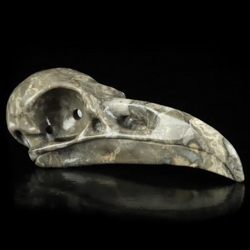 4.8" Crocodile Jasper Hand Carved Raven Crystal Skull  Sculpture, Crystal Healing