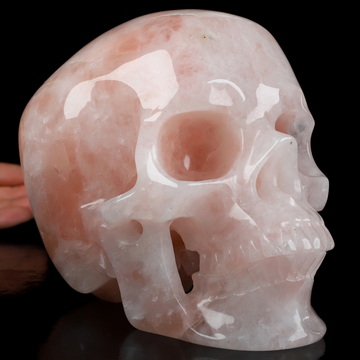 Lifesized 6.8" Rose Quartz Hand Carved Crystal Skull, Super Realistic, Crystal Healing