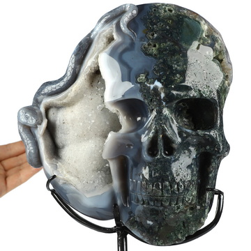 June 28, 2026 ACSAD (A Crystal Skull a Day) - Stirring in the Stone - 7.6" Carved Green Moss Agate Geode Carved Crystal Skull With Snake, Crystal Healing