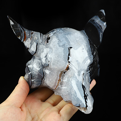 5.1" Black Zebra Agate Hand Carved Crystal Fox Head Fine Art Sculpture, Crystal Healing