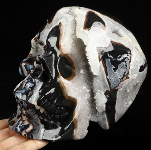 Lifesized 6.7" Black Zebra Agate Geode Hand Carved Crystal Skull, Super Realistic, Crystal Healing
