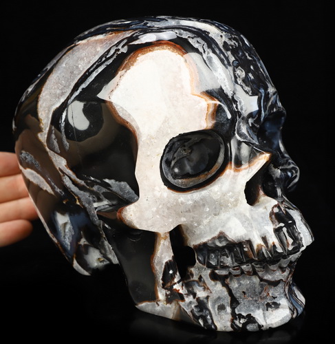 Lifesized 6.9" Black Zebra Agate Hand Carved Crystal Skull, Super Realistic, Crystal Healing