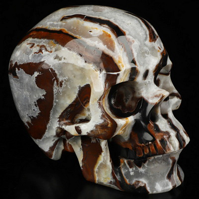 5.0" Black Zebra Agate Hand Carved Crystal Skull, Super Realistic, Crystal Healing