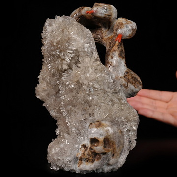 June 13, 2026 ACSAD (A Crystal Skull a Day) - The Serpent’s Last Shedding - 7.2" Carved Quartz Crystal Cluster Mineral Specimen with Crystal Skull & Snake with Red Jasper Snake Tongue Sculpture, Crystal Healing