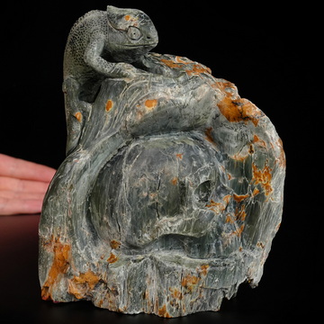 Until the Shadows Merge - 5.7" Carved Rare Hawk’s Eye Stone Chameleon and Skull Fine Art Sculpture, Crystal Healing