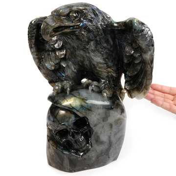 Against the Gathering Dark - 9.6" Carved Labradorite Eagle And Crystal Skull Fine Art Sculpture, Crystal Healing