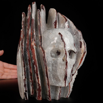 June 23, 2026 ACSAD (A Crystal Skull a Day) - The Archive of Ages - 8.6" Carved Black Zebra Agate Crystal Skull Fine Art Sculpture, Crystal Healing