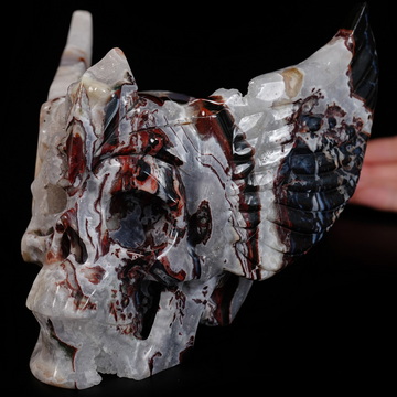 5.9" Black Zebra Agate Hand Carved Guardian Crystal Skull Sculpture, Crystal Healing