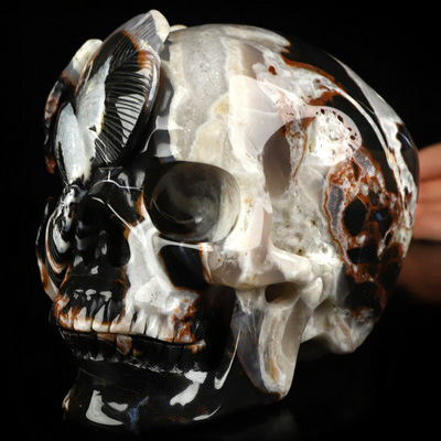 5.9" Black Zebra Agate Hand Carved Crystal Skull and Flower Fine Art Sculpture, Crystal Healing