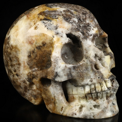 4.9" Sphalerite Hand Carved Crystal Skull, Realistic, Crystal Healing