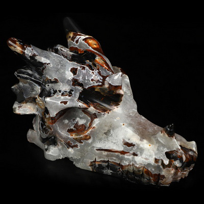 5.0" Black Zebra Agate Hand Carved Crystal Dragon Skull Sculpture, Crystal Healing