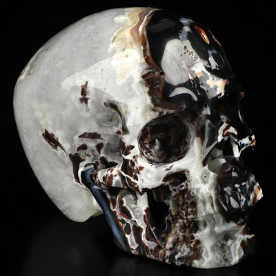 5.0" Black Zebra Agate Hand Carved Crystal Skull, Super Realistic, Crystal Healing