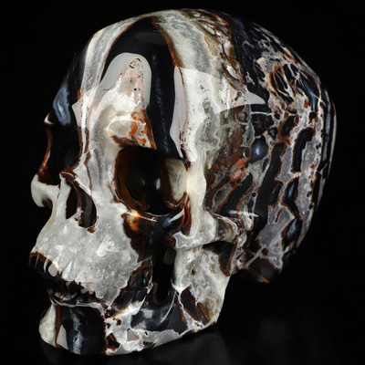 5.0" Black Zebra Agate Hand Carved Crystal Skull, Super Realistic, Crystal Healing