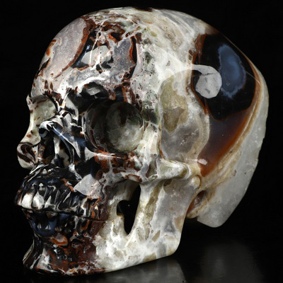5.0" Black Zebra Agate Hand Carved Crystal Skull, Super Realistic, Crystal Healing