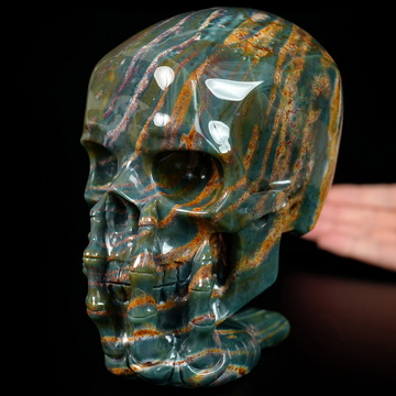 The Thinker---5.7" Bloodstone Hand Carved Crystal Skull & Skeletal Hand Sculpture, Crystal Healing