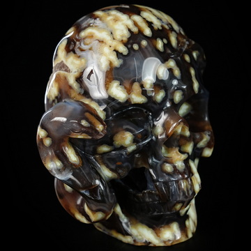 July 5, 2026 ACSAD (A Crystal Skull a Day) - The Fluid Waveform - 4.6" Carved Agate Snake And Crystal Skull Sculpture, Crystal Healing