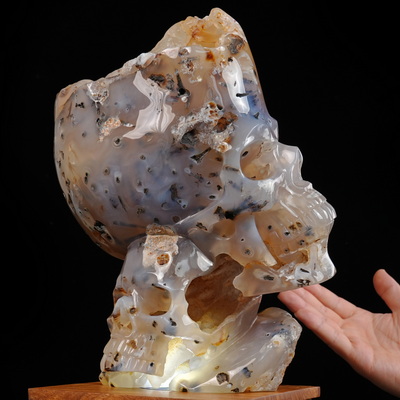 July 9, 2026 ACSAD (A Crystal Skull a Day) - Heaven Grows Here - 12.6" Agate Carved Double Crystal Skulls Fine Art Sculpture, Crystal Healing
