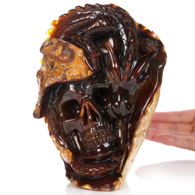 July 10, 2026 ACSAD (A Crystal Skull a Day) - The Forgotten Flame - 6.3"   Carved Carnelian Dragon And Crystal Skull Fine Art Sculpture, Crystal Healing