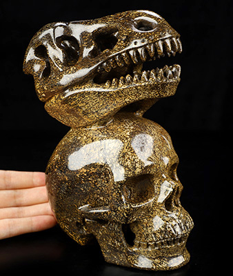July 26, 2026 ACSAD (A Crystal Skull a Day) - The Strata of Memory - 7.0" Carved Sauropoda Dinosaur Fossil T-Rex Skull And Crystal Skull Fine Art Sculpture, Crystal Healing