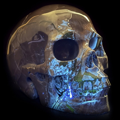 5.0" Dinosaur Egg Agate Hand Carved Crystal Skull, Realistic, Crystal Healing