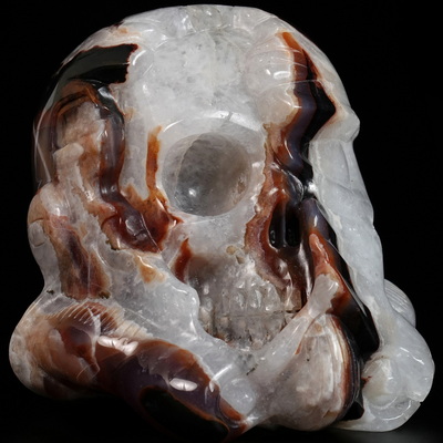 Storm Troopers - 4.8" Black Zebra Agate Hand Carved Crystal Skull Fine Art Sculpture, Crystal Healing