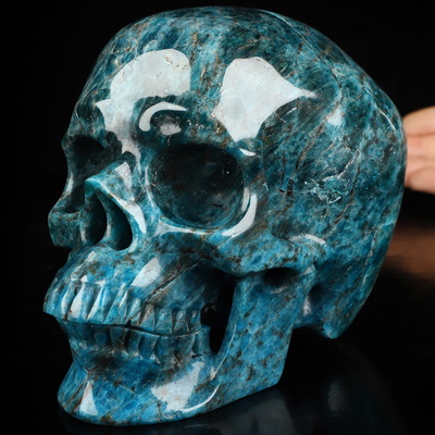 Lifesized 5.9" Blue Apatite Hand Carved Crystal Skull, Super Realistic, Crystal Healing