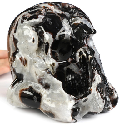 Storm Troopers - 4.9" Black Zebra Agate Hand Carved Crystal Skull Fine Art Sculpture, Crystal Healing