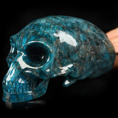 6.8" Blue Apatite Hand Carved Crystal Elongated Mayan Alien Skull Sculpture, Crystal Healing