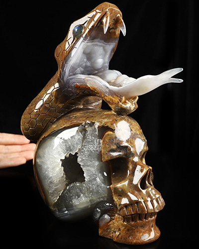 Aug 9, 2026 ACSAD (A Crystal Skull a Day) - The Guardian of Eden - 8.3" Carved Dinosaur Egg Agate Serpent & Crystal Skull Sculpture With Labradorite Eyes, Crystal Healing