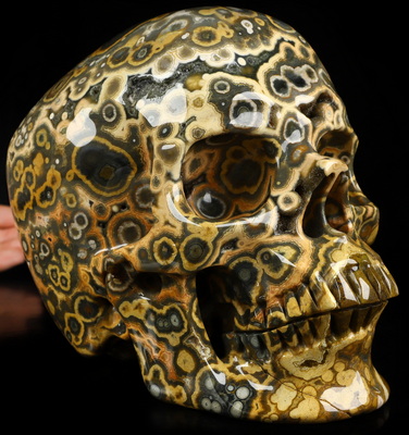 Aug 16, 2026 ACSAD (A Crystal Skull a Day) - Aeon's Ripple - Lifesized 7.5" Ocean Jasper Hand Carved Crystal Skull, Super Realistic, Crystal Healing