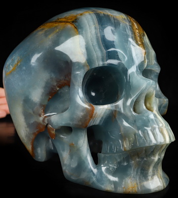Aug 15, 2026 ACSAD (A Crystal Skull a Day) - The Coastal Meridian - Lifesized 7.5" Blue Onyx Hand Carved Crystal Skull, Super Realistic, Crystal Healing