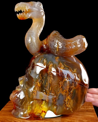 Aug 12, 2026 ACSAD (A Crystal Skull a Day) - Dragonsnake’s Vigil - 7.6" Carnelian Hand Carved Dragonsnake & Crystal Skull Sculpture, Crystal Healing